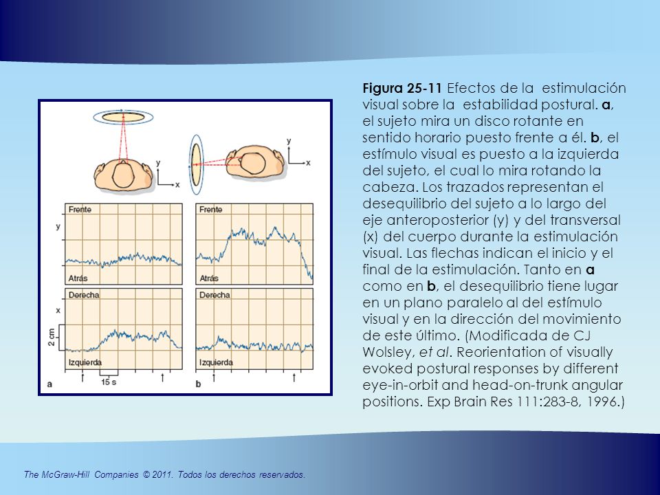 Figura Efectos de la estimulación visual sobre la estabilidad postural.