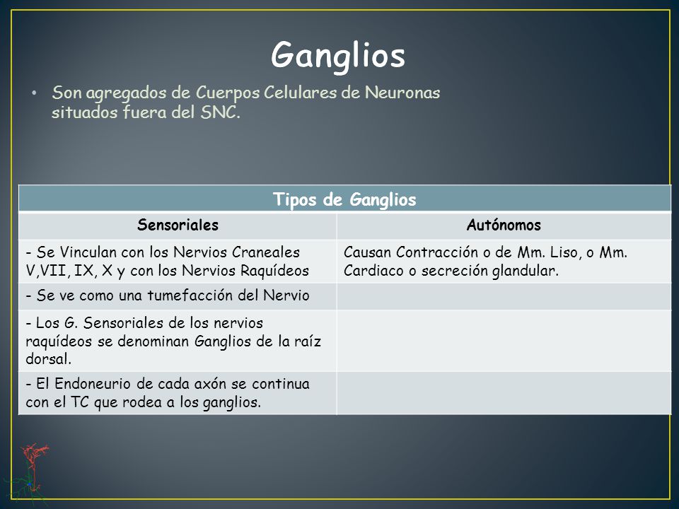 Ganglios Son agregados de Cuerpos Celulares de Neuronas situados fuera del SNC. Tipos de Ganglios.