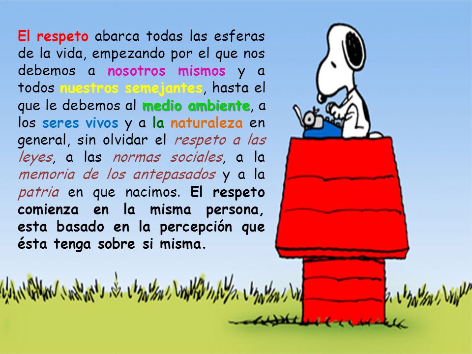 El respeto abarca todas las esferas de la vida, empezando por el que nos debemos a nosotros mismos y a todos nuestros semejantes, hasta el que le debemos al medio ambiente, a los seres vivos y a la naturaleza en general, sin olvidar el respeto a las leyes, a las normas sociales, a la memoria de los antepasados y a la patria en que nacimos.