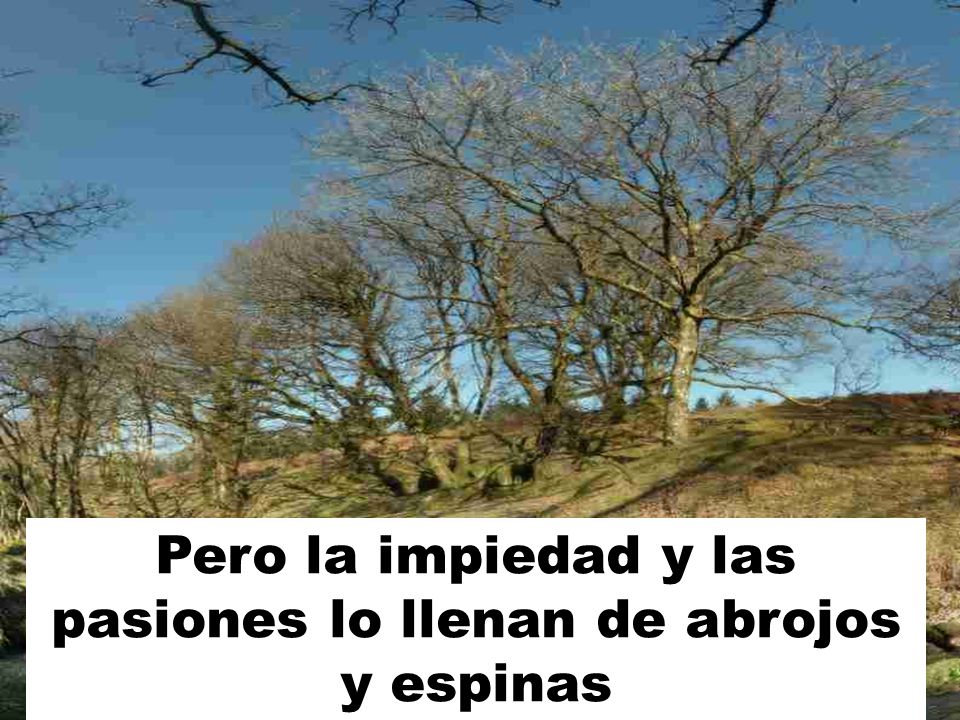 Pero la impiedad y las pasiones lo llenan de abrojos y espinas