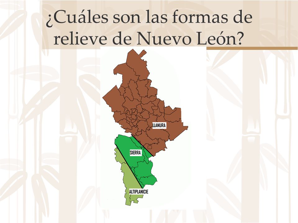 ¿Cuáles son las formas de relieve de Nuevo León