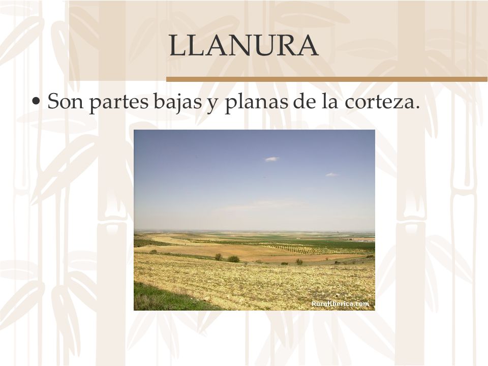 LLANURA Son partes bajas y planas de la corteza.