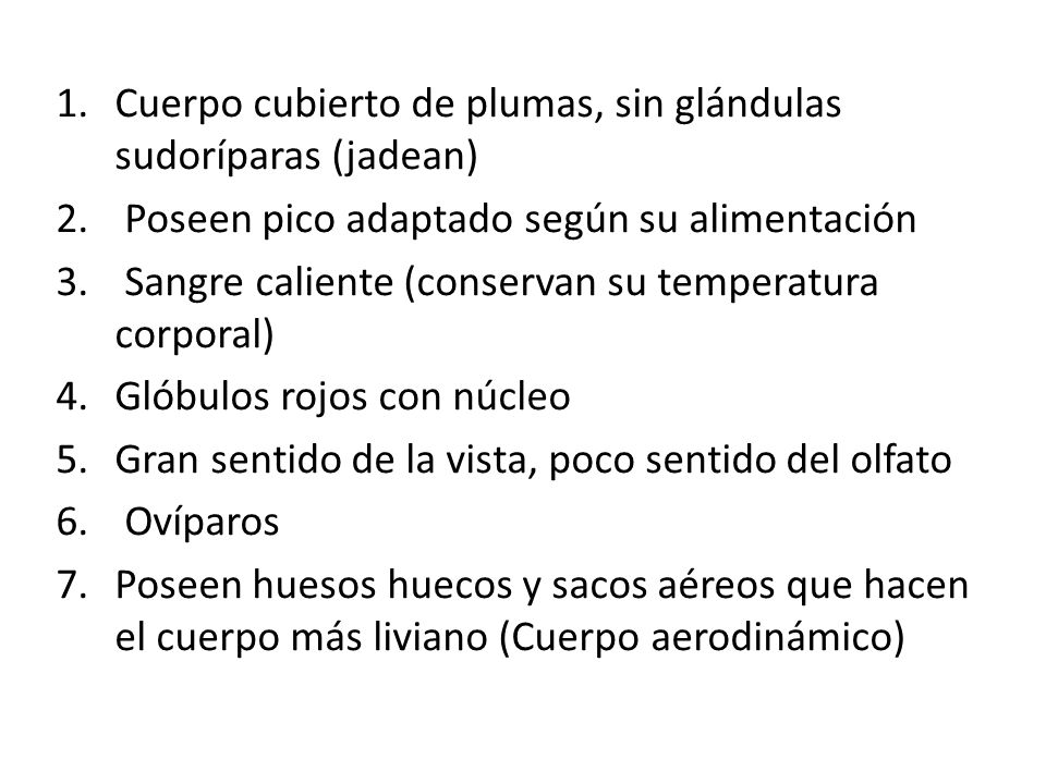 Cuerpo cubierto de plumas, sin glándulas sudoríparas (jadean)