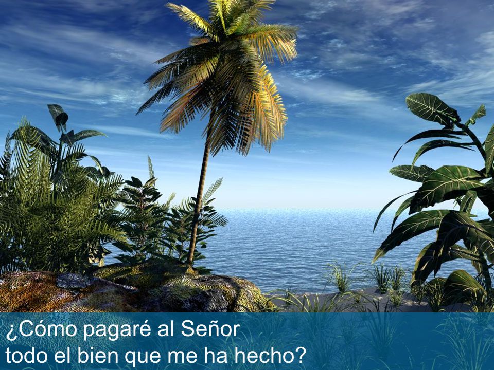 ¿Cómo pagaré al Señor todo el bien que me ha hecho