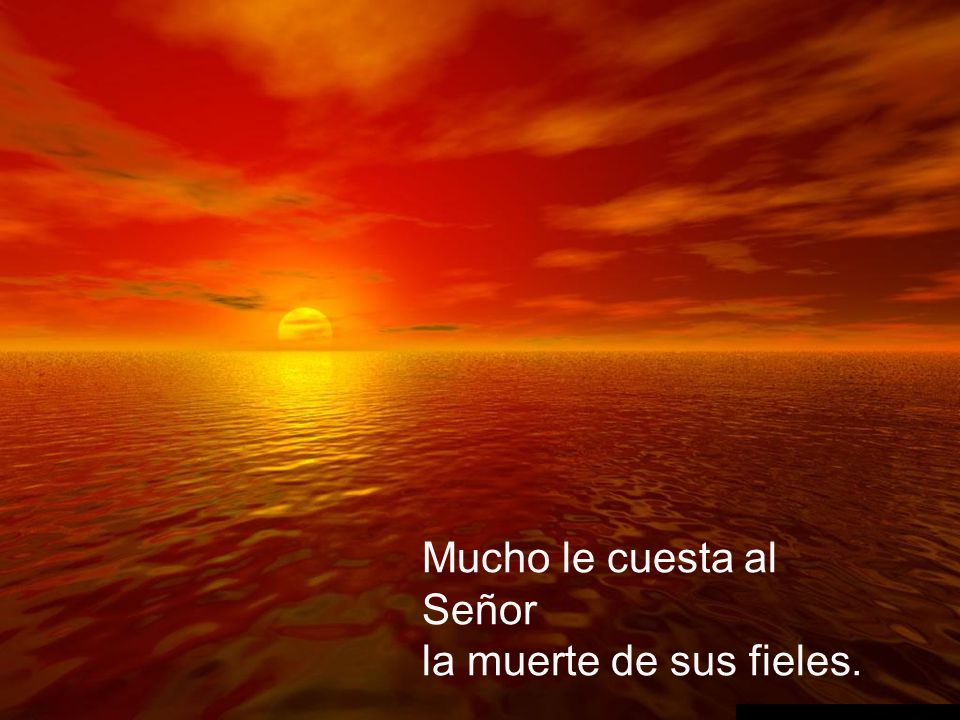 Mucho le cuesta al Señor la muerte de sus fieles.