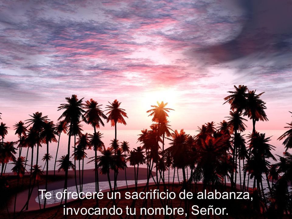 Te ofreceré un sacrificio de alabanza, invocando tu nombre, Señor.