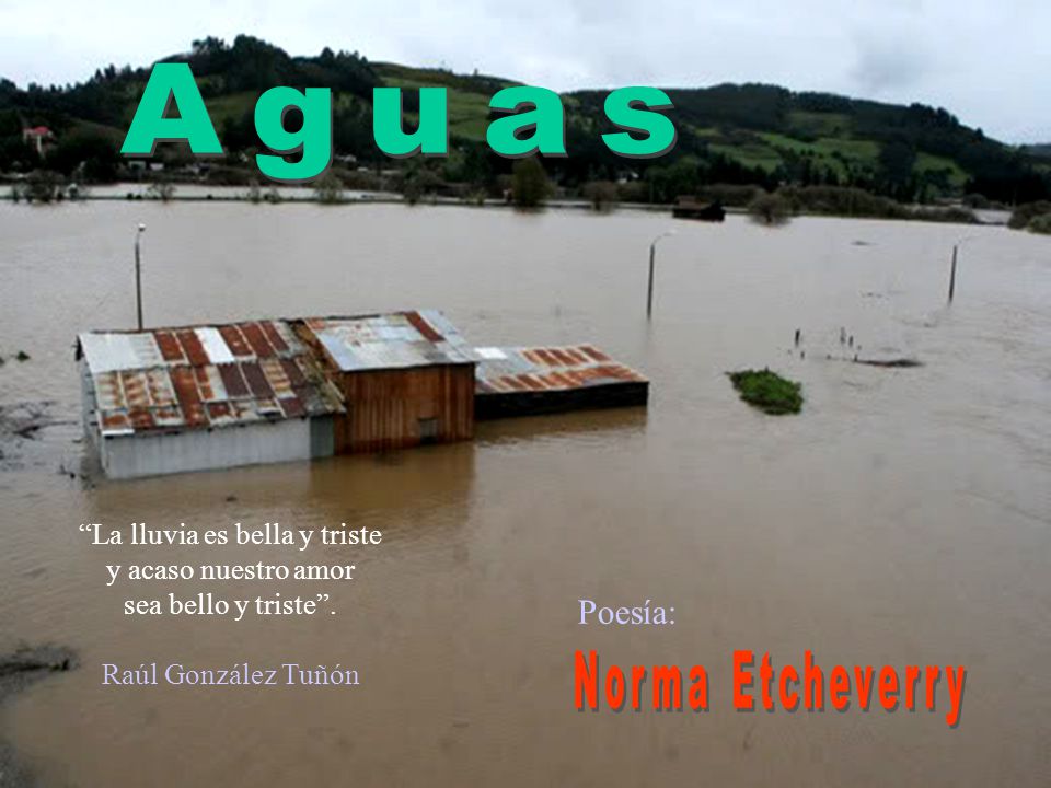 La lluvia es bella y triste y acaso nuestro amor sea bello y triste .