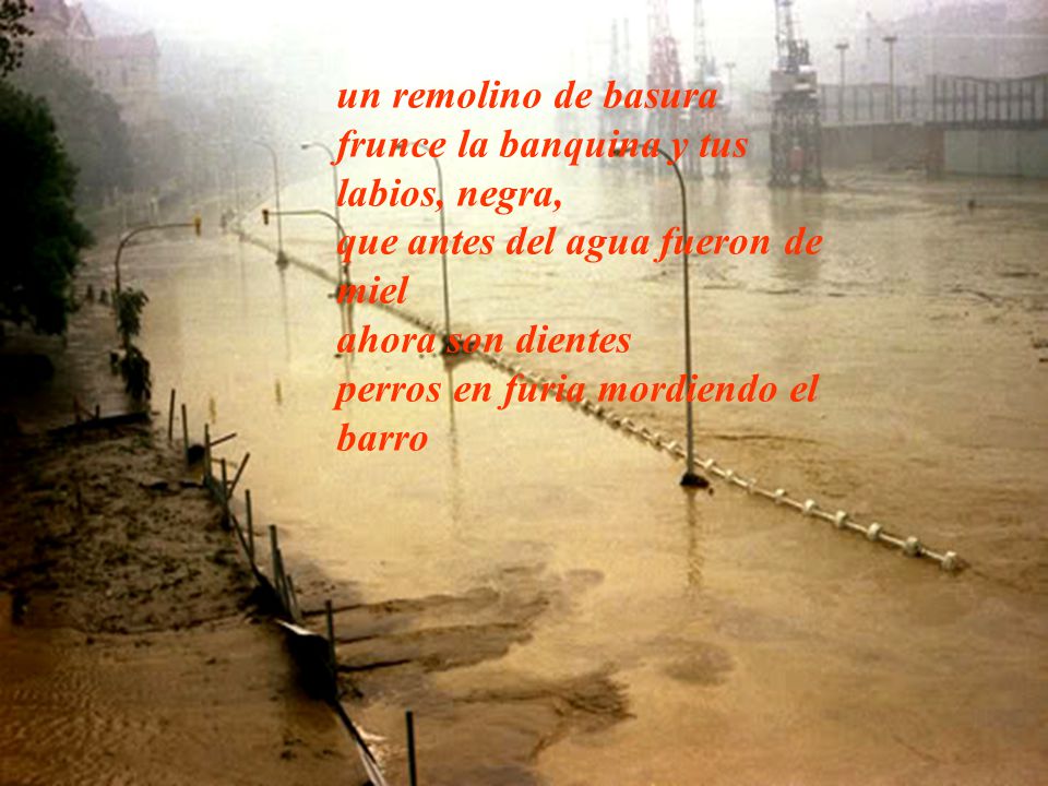 un remolino de basura frunce la banquina y tus labios, negra, que antes del agua fueron de miel. ahora son dientes.