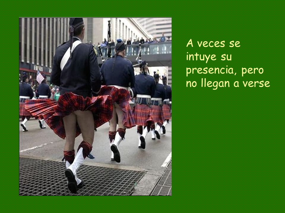 A veces se intuye su presencia, pero no llegan a verse