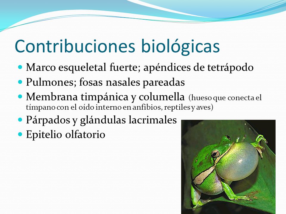 Contribuciones biológicas