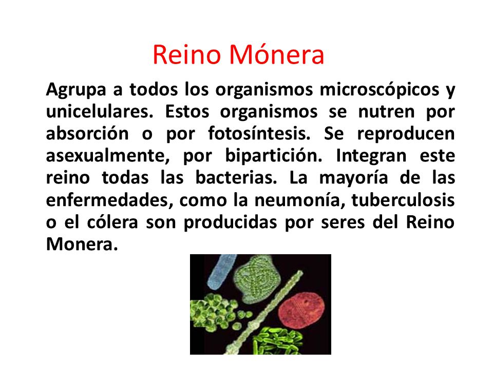 Reino Mónera