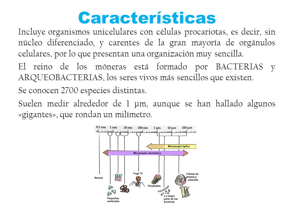 Características