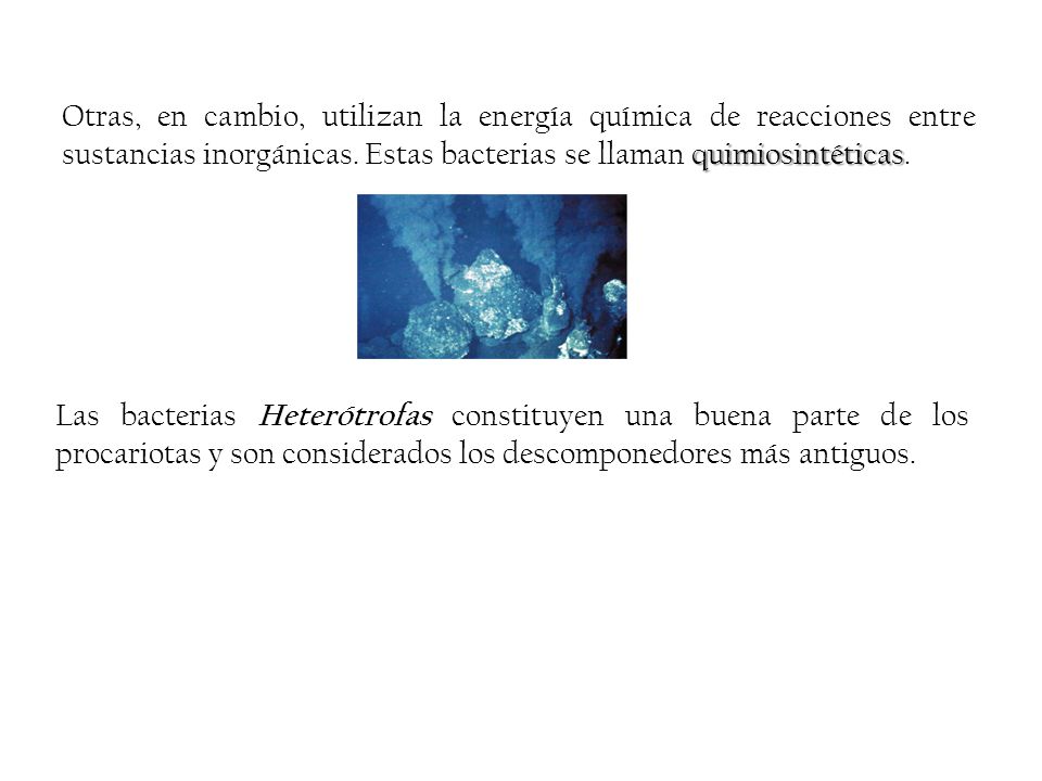 Otras, en cambio, utilizan la energía química de reacciones entre sustancias inorgánicas. Estas bacterias se llaman quimiosintéticas.