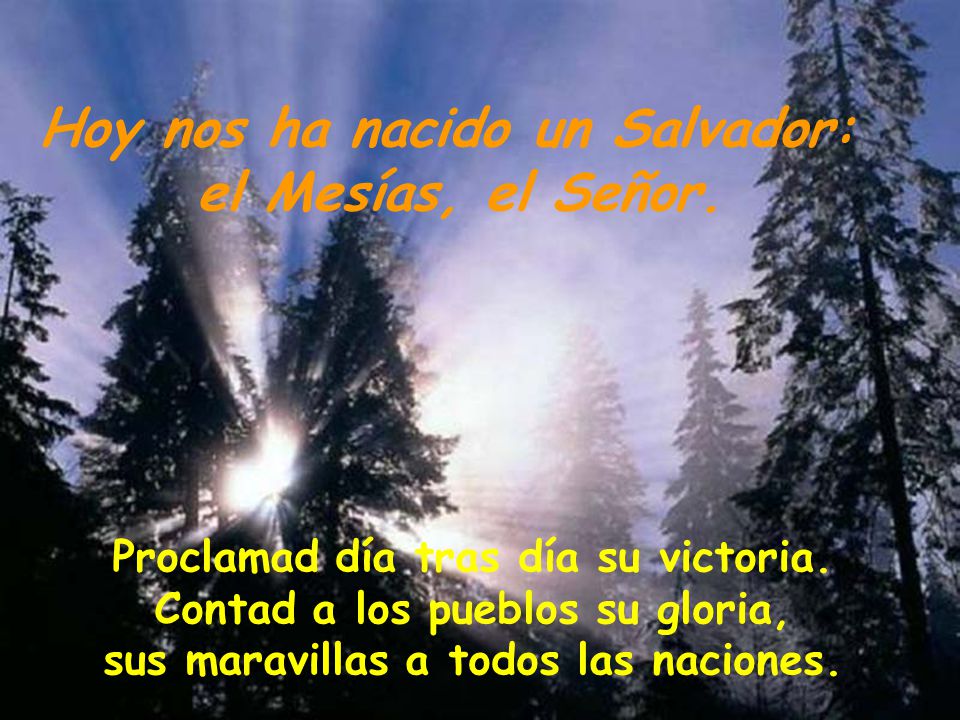 Hoy nos ha nacido un Salvador: el Mesías, el Señor.