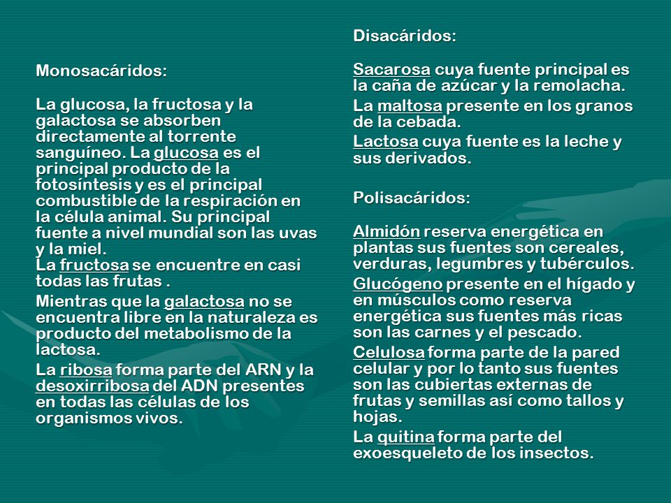 Disacáridos: Sacarosa cuya fuente principal es la caña de azúcar y la remolacha. La maltosa presente en los granos de la cebada.