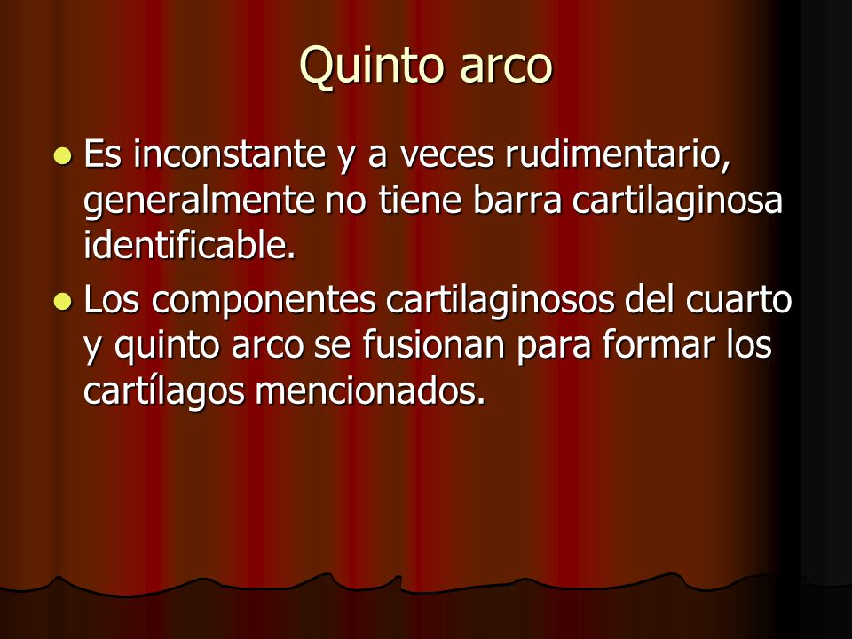 Quinto arco Es inconstante y a veces rudimentario, generalmente no tiene barra cartilaginosa identificable.