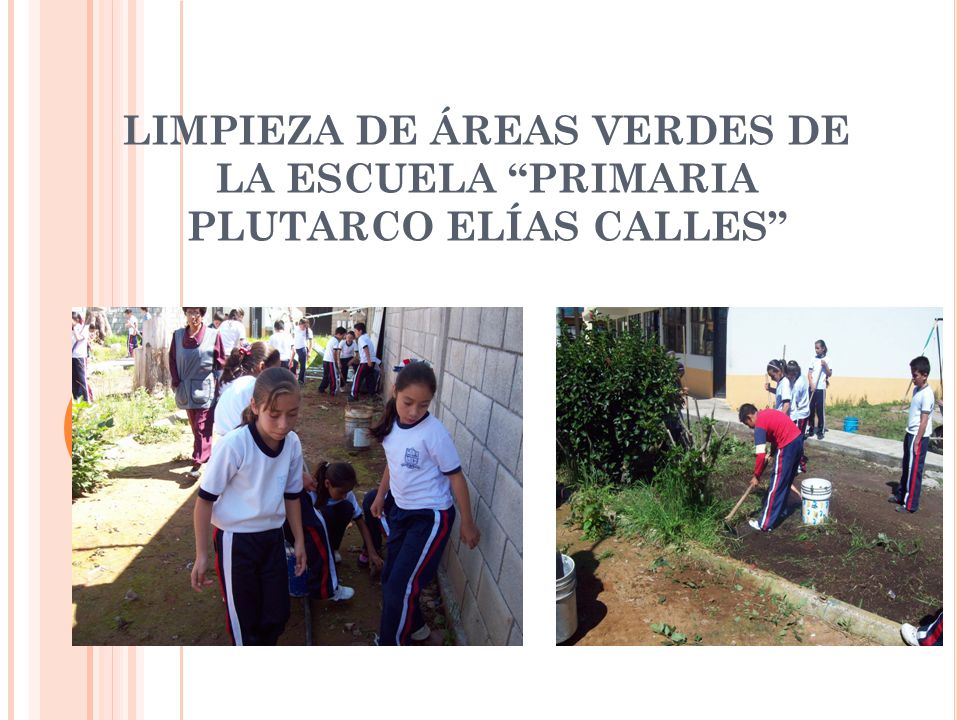LIMPIEZA DE ÁREAS VERDES DE LA ESCUELA PRIMARIA PLUTARCO ELÍAS CALLES