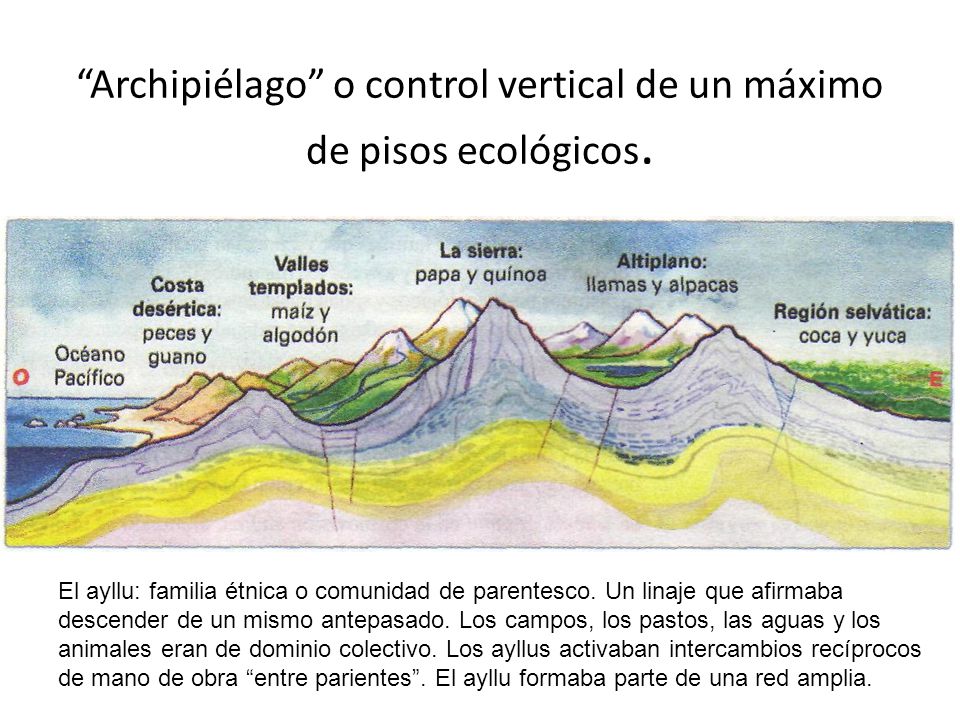 Archipiélago o control vertical de un máximo de pisos ecológicos.