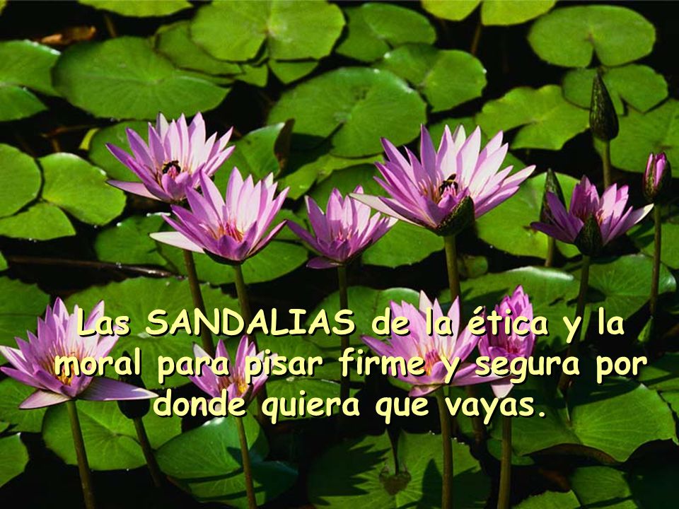 Las SANDALIAS de la ética y la moral para pisar firme y segura por donde quiera que vayas.