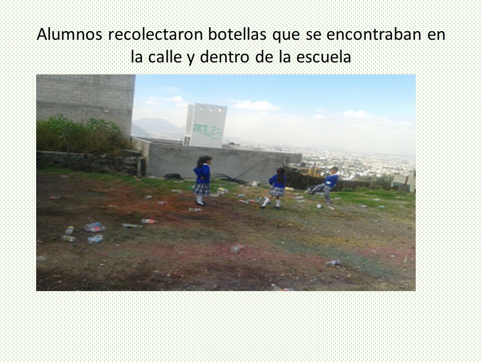 Alumnos recolectaron botellas que se encontraban en la calle y dentro de la escuela