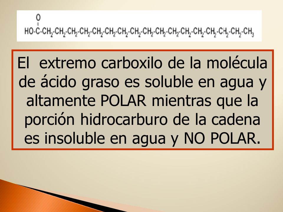 El extremo carboxilo de la molécula de ácido graso es soluble en agua y altamente POLAR mientras que la porción hidrocarburo de la cadena es insoluble en agua y NO POLAR.