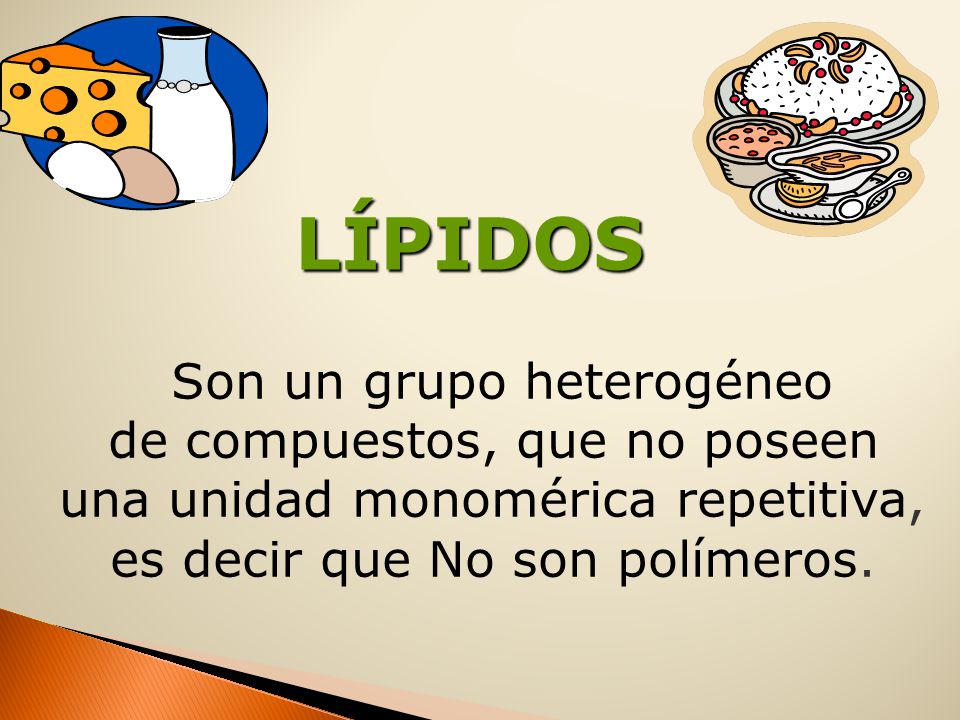 LÍPIDOS Son un grupo heterogéneo de compuestos, que no poseen
