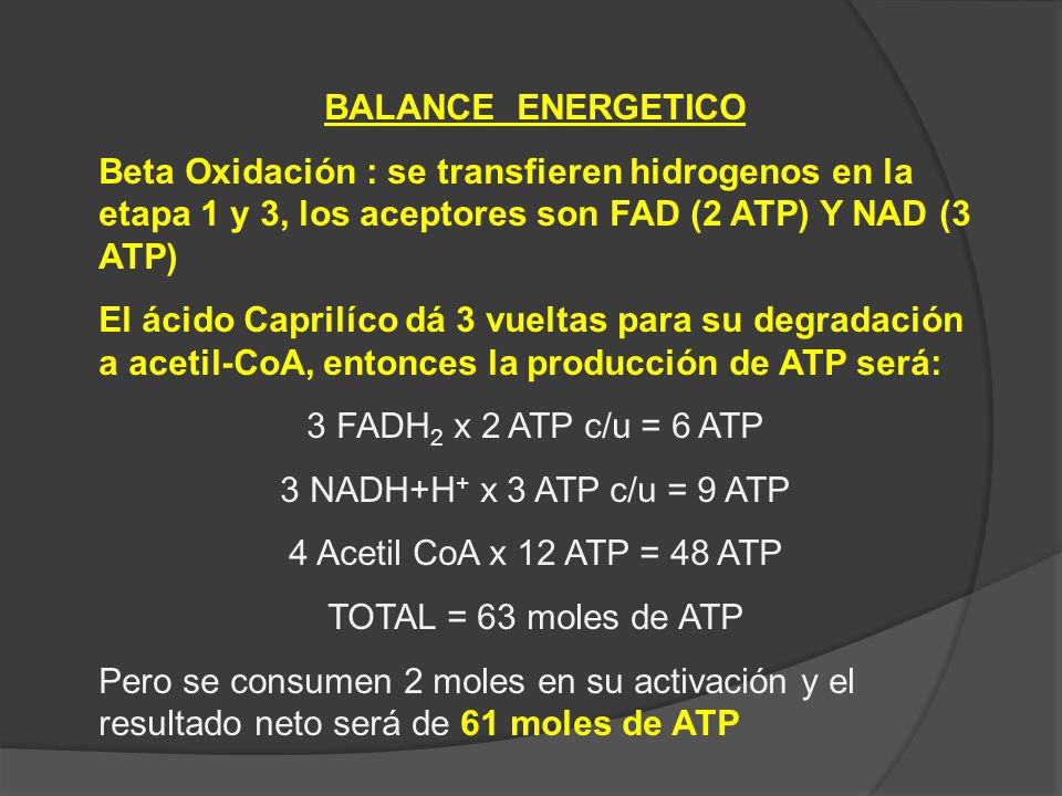 BALANCE ENERGETICO Beta Oxidación : se transfieren hidrogenos en la etapa 1 y 3, los aceptores son FAD (2 ATP) Y NAD (3 ATP)