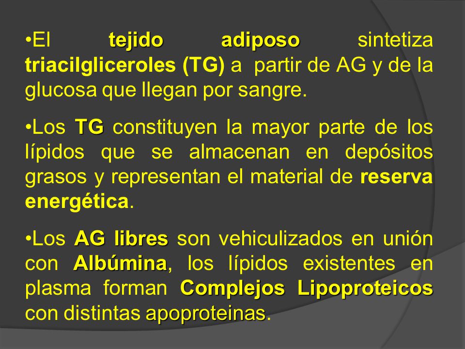 El tejido adiposo sintetiza triacilgliceroles (TG) a partir de AG y de la glucosa que llegan por sangre.