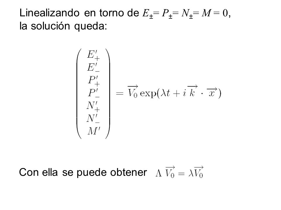 Linealizando en torno de E±= P±= N±= M = 0,