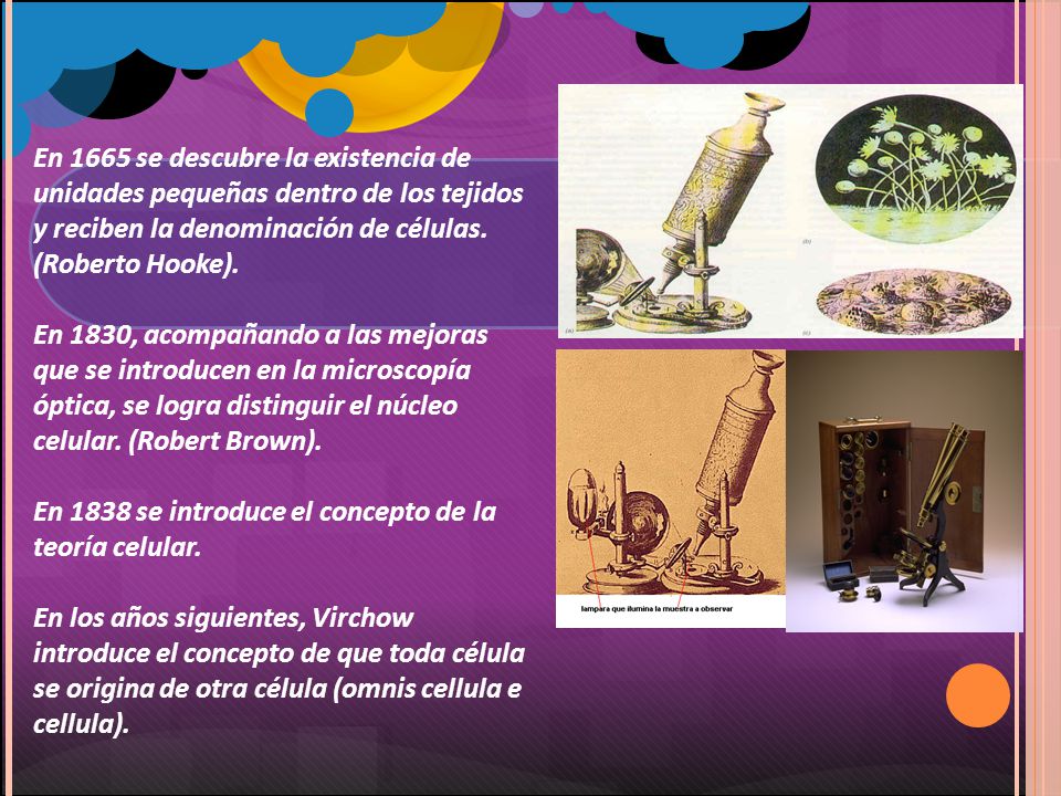 En 1665 se descubre la existencia de unidades pequeñas dentro de los tejidos y reciben la denominación de células. (Roberto Hooke).
