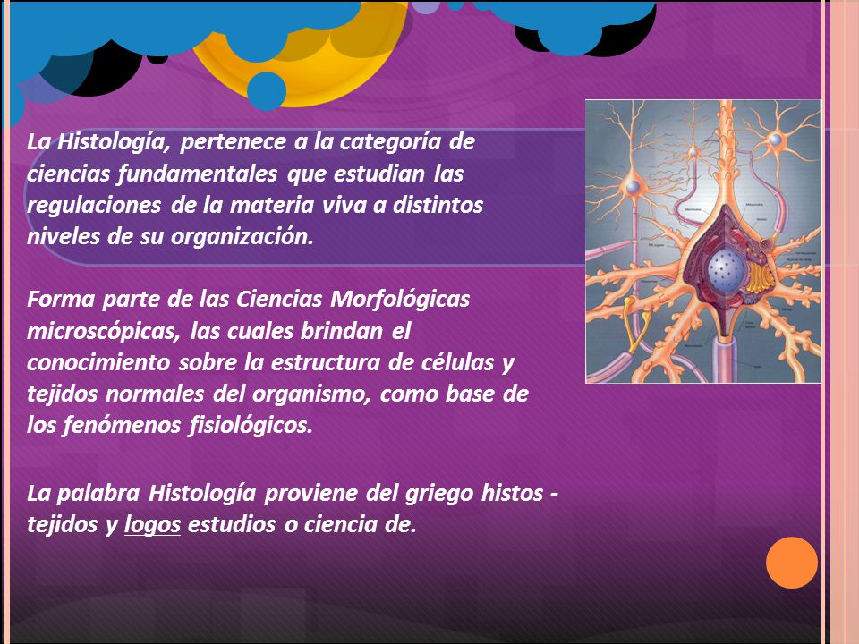 La Histología, pertenece a la categoría de ciencias fundamentales que estudian las regulaciones de la materia viva a distintos niveles de su organización.