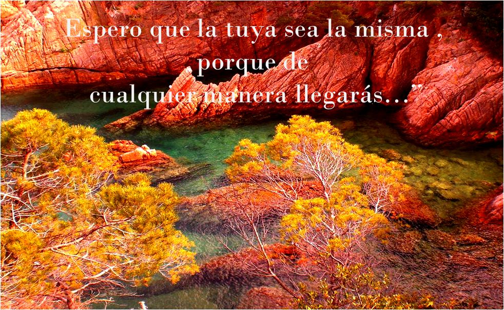 Espero que la tuya sea la misma , porque de