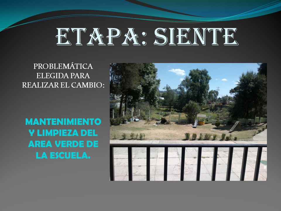 ETAPA: SIENTE MANTENIMIENTO Y LIMPIEZA DEL AREA VERDE DE LA ESCUELA.