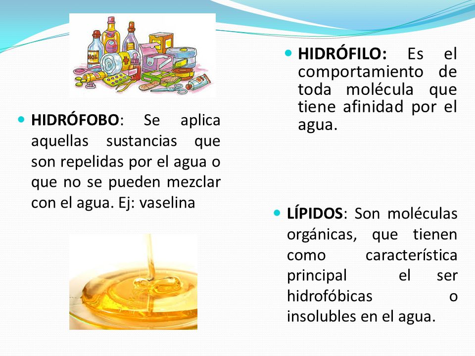 HIDRÓFILO: Es el comportamiento de toda molécula que tiene afinidad por el agua.