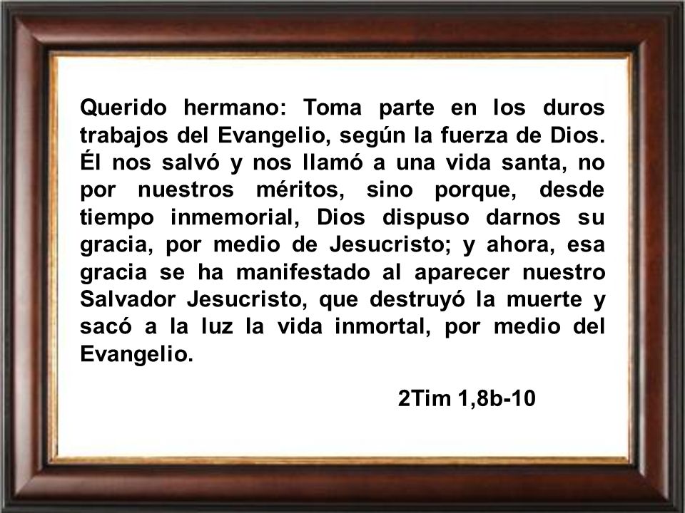 Querido hermano: Toma parte en los duros trabajos del Evangelio, según la fuerza de Dios. Él nos salvó y nos llamó a una vida santa, no por nuestros méritos, sino porque, desde tiempo inmemorial, Dios dispuso darnos su gracia, por medio de Jesucristo; y ahora, esa gracia se ha manifestado al aparecer nuestro Salvador Jesucristo, que destruyó la muerte y sacó a la luz la vida inmortal, por medio del Evangelio.