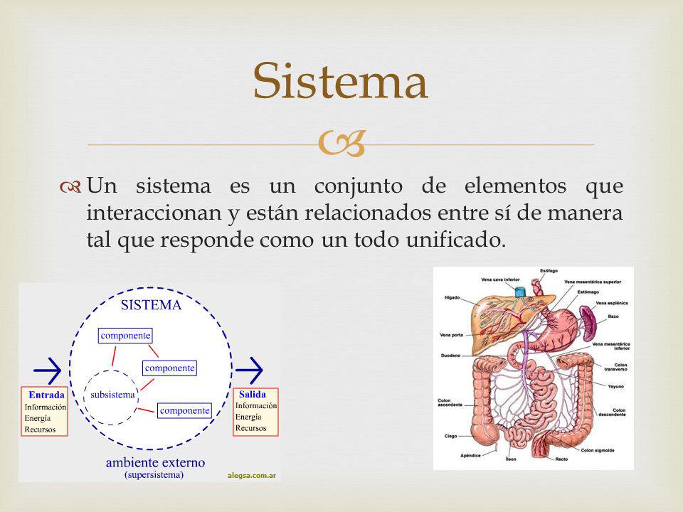 Sistema Un sistema es un conjunto de elementos que interaccionan y están relacionados entre sí de manera tal que responde como un todo unificado.
