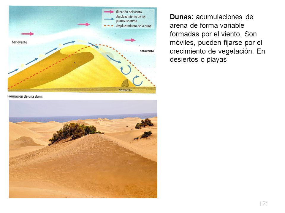 Dunas: acumulaciones de arena de forma variable formadas por el viento