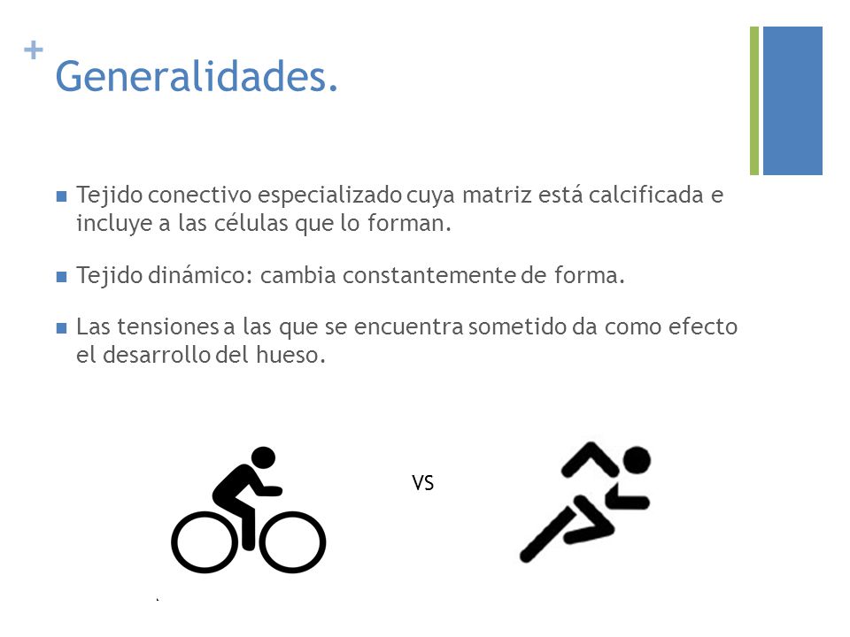 Generalidades. Tejido conectivo especializado cuya matriz está calcificada e incluye a las células que lo forman.