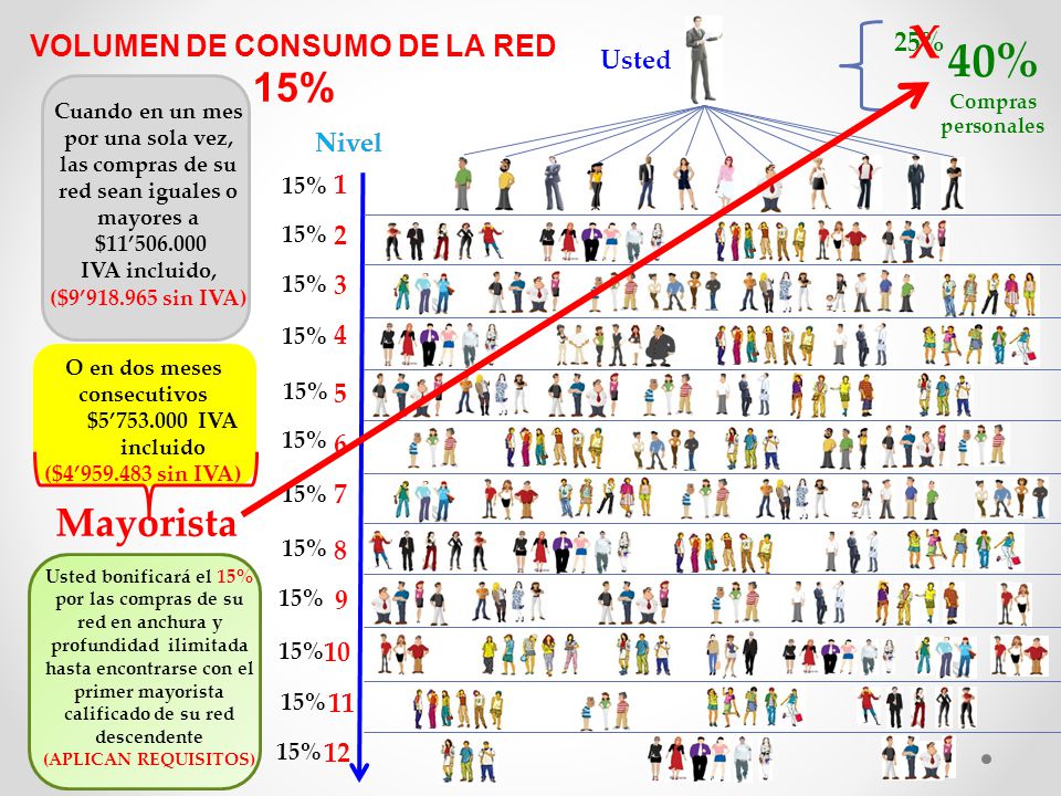 X 40% Compras personales 15% Mayorista VOLUMEN DE CONSUMO DE LA RED