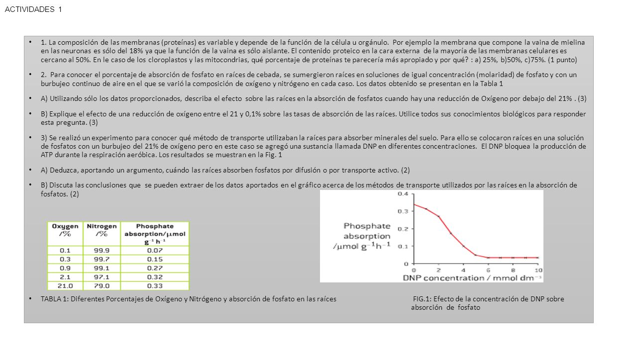 ACTIVIDADES 1