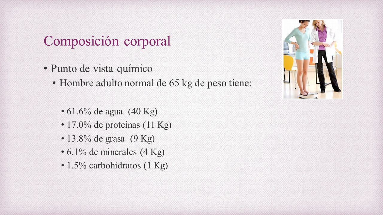 Composición corporal Punto de vista químico