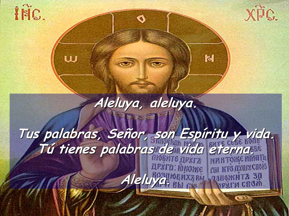 Aleluya, aleluya. Tus palabras, Señor, son Espíritu y vida.