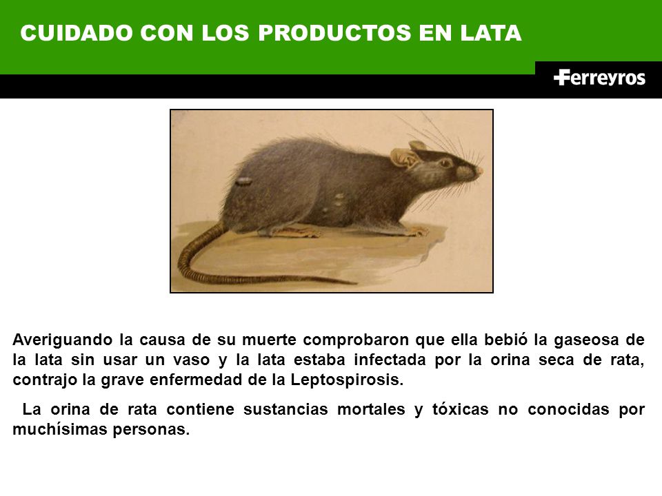 CUIDADO CON LOS PRODUCTOS EN LATA