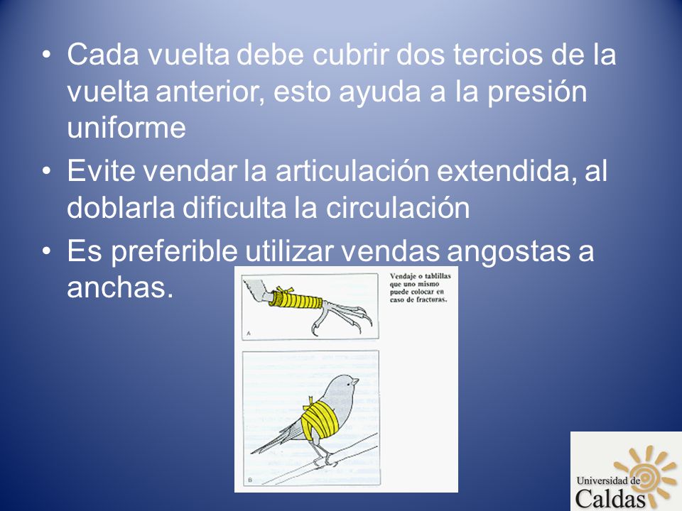 Cada vuelta debe cubrir dos tercios de la vuelta anterior, esto ayuda a la presión uniforme