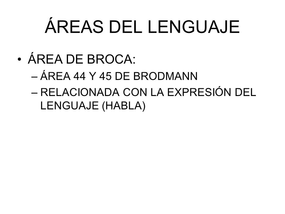 ÁREAS DEL LENGUAJE ÁREA DE BROCA: ÁREA 44 Y 45 DE BRODMANN