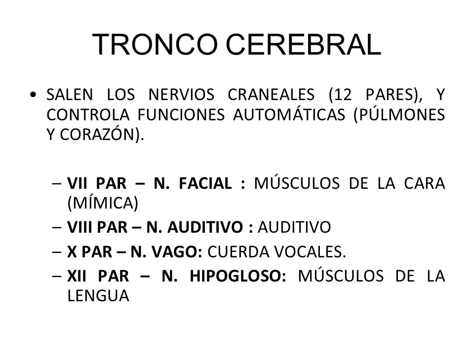 TRONCO CEREBRAL SALEN LOS NERVIOS CRANEALES (12 PARES), Y CONTROLA FUNCIONES AUTOMÁTICAS (PÚLMONES Y CORAZÓN).
