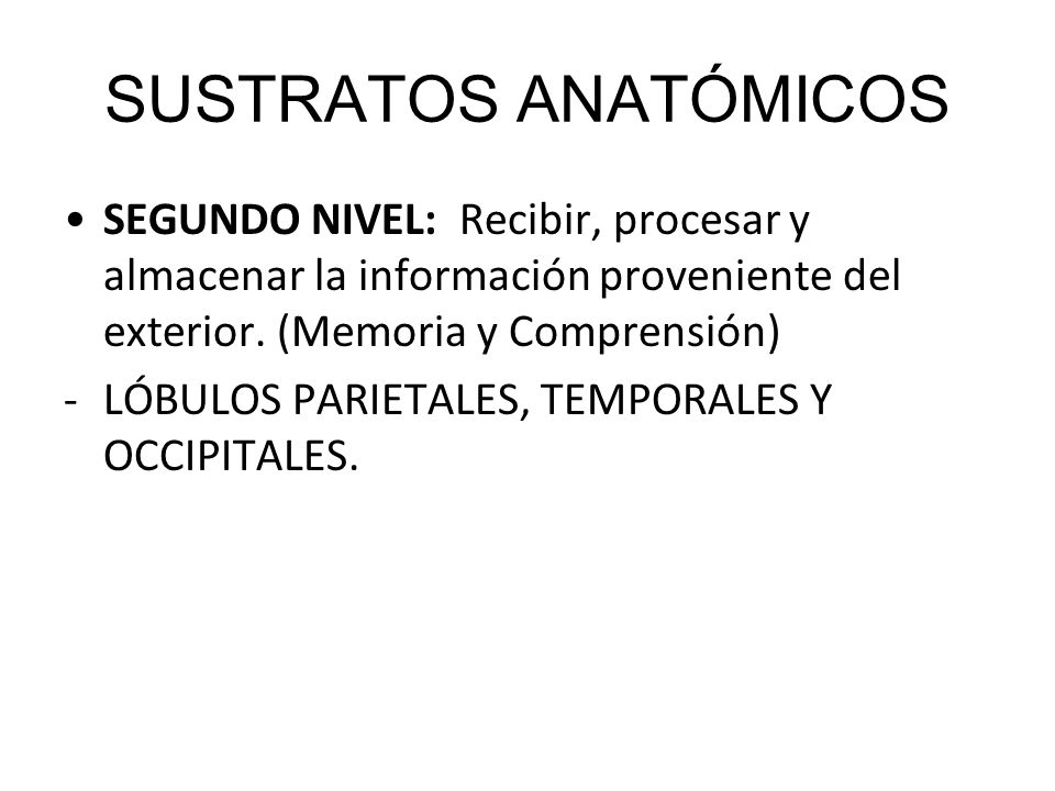 SUSTRATOS ANATÓMICOS SEGUNDO NIVEL: Recibir, procesar y almacenar la información proveniente del exterior. (Memoria y Comprensión)
