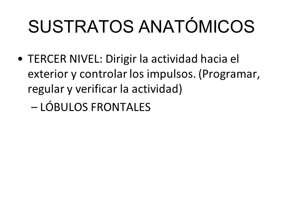 SUSTRATOS ANATÓMICOS TERCER NIVEL: Dirigir la actividad hacia el exterior y controlar los impulsos. (Programar, regular y verificar la actividad)