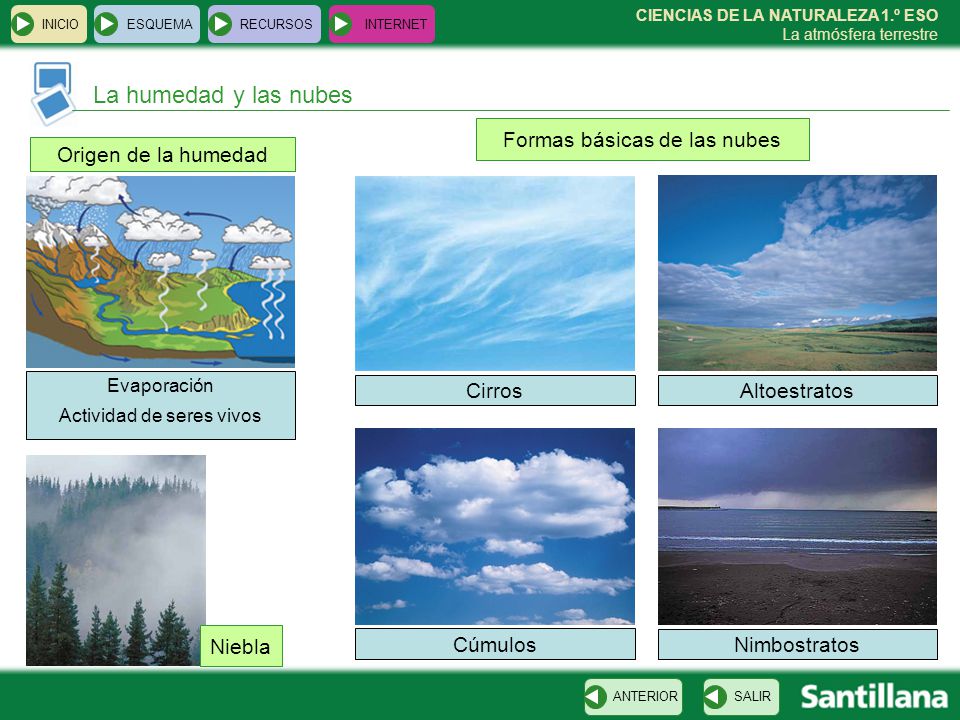 La humedad y las nubes Formas básicas de las nubes