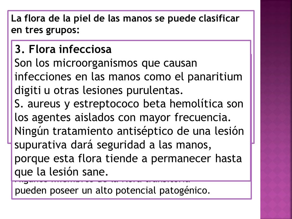 La flora de la piel de las manos se puede clasificar en tres grupos: